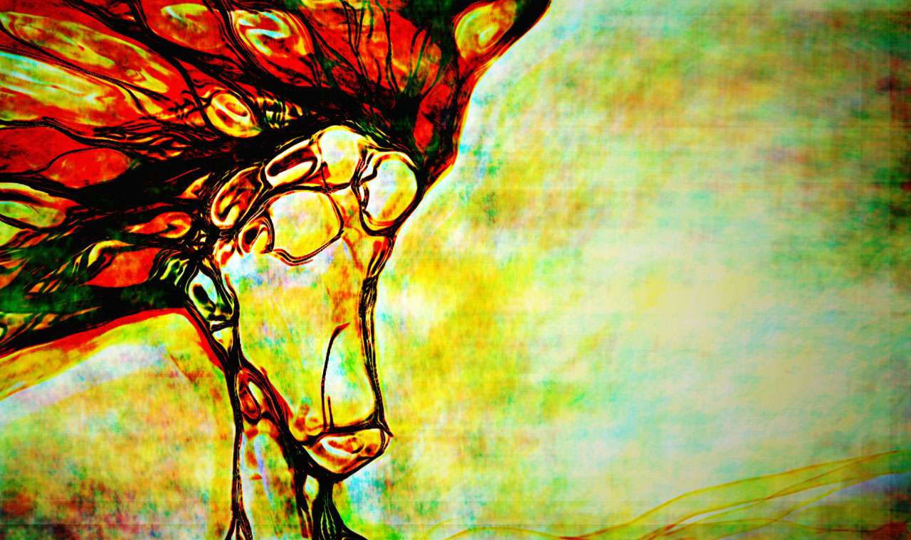 Image #1 of 5: 